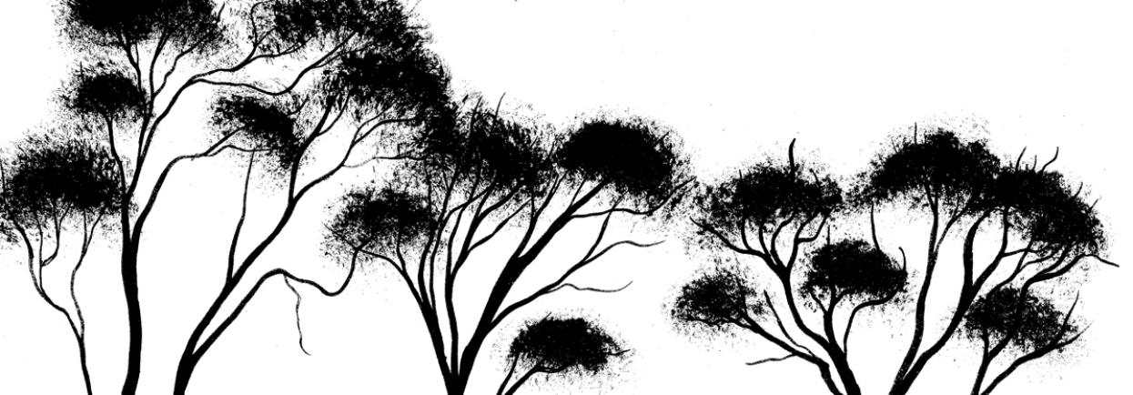 Esther McDowell/Yabini Kickett Tree silhouettes 2018 (detail).
